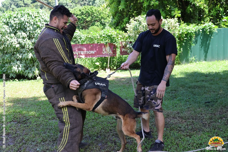 La dissuasion n'est pas la seule option pour le chien et son maître, désormais formés à l'interpellation plus musclée. (Crédit photo : Ville de Papeete)