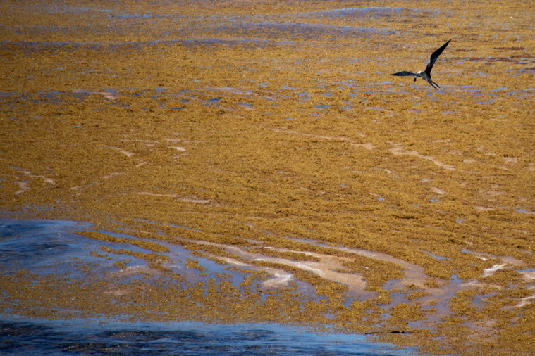 Olivier MORIN / AFP Olivier MORIN / AFP