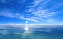 Protéger l'océan, activité rentable qui peut rapporter 900 millards de dollars (WWF) Protéger l'océan, activité rentable qui peut rapporter 900 millards de dollars (WWF)