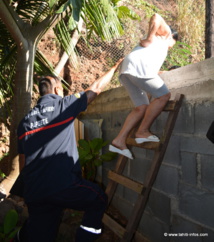 Le procureur à la rescousse de Papi et Mamie Lee Le procureur à la rescousse de Papi et Mamie Lee