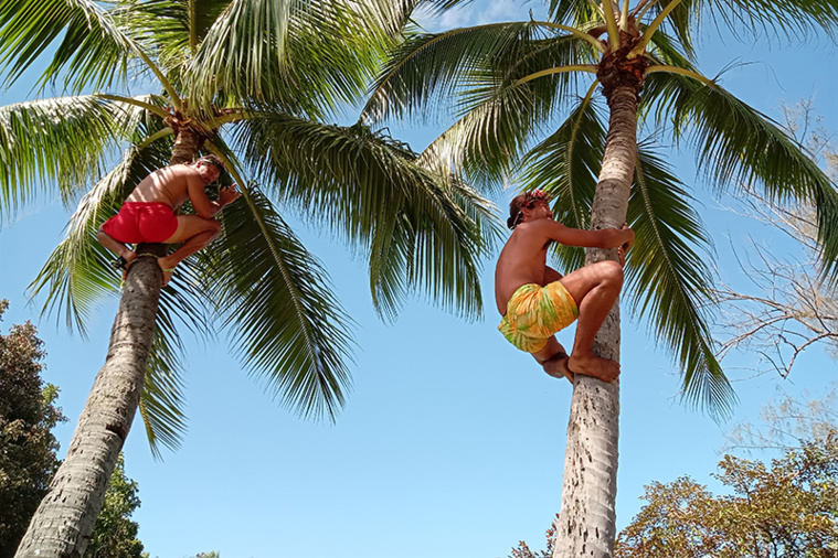 Démarrage en douceur pour le championnat de Tahiti des sports traditionnels
