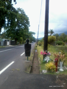 La piétonne renversée est décédée La piétonne renversée est décédée