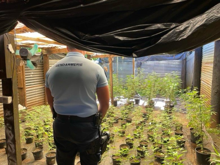 Quatre sites internet de vente de paka fermés Quatre sites internet de vente de paka fermés