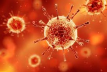 Coronavirus Mers : décès d'un Allemand, premier cas mortel en Europe en 2015 Coronavirus Mers : décès d'un Allemand, premier cas mortel en Europe en 2015