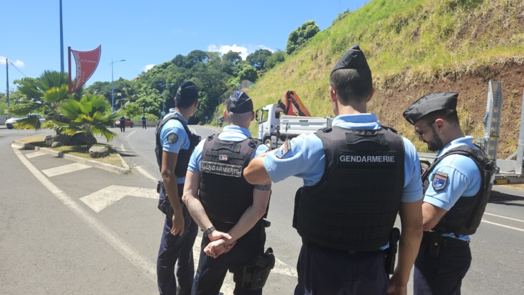 La chasses aux stupéfiants est engagée La chasses aux stupéfiants est engagée