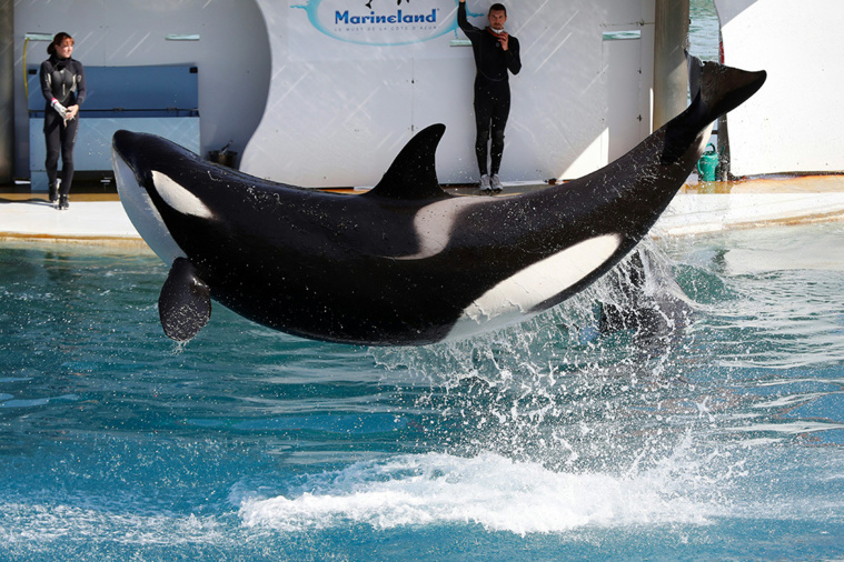 Crédit VALERY HACHE / AFP