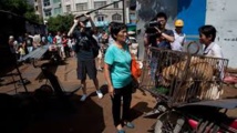 Les défenseurs des animaux muselés pour le festival chinois de la viande de chien Les défenseurs des animaux muselés pour le festival chinois de la viande de chien