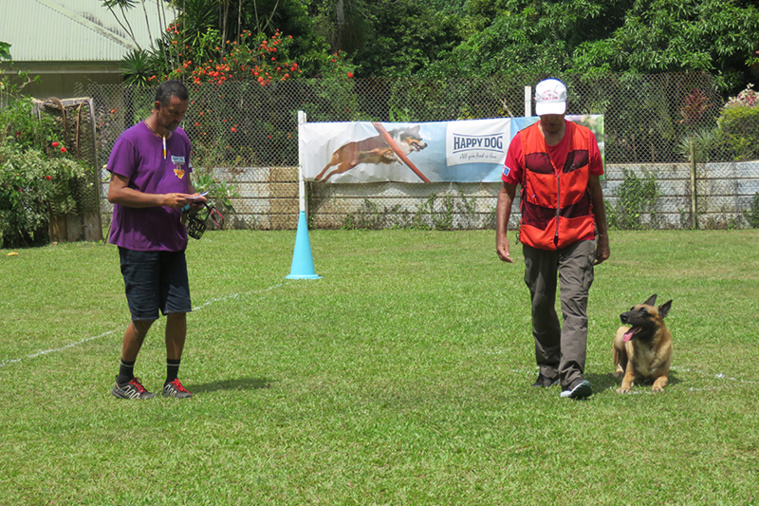“Des chiens de qualité” pour la première compétition canine de l’année