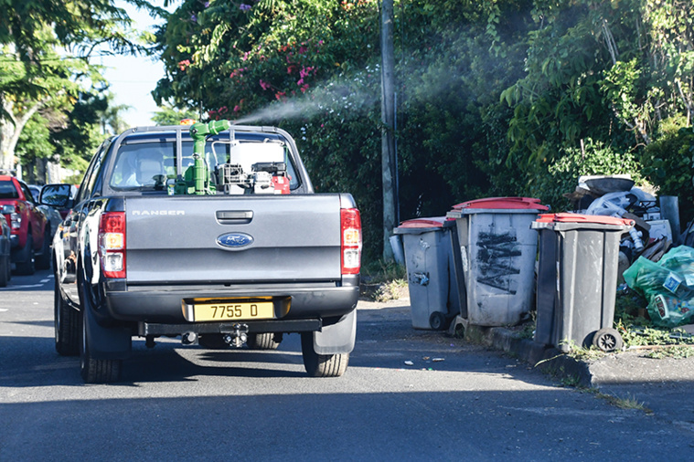 © Wendy Cowan © Wendy Cowan