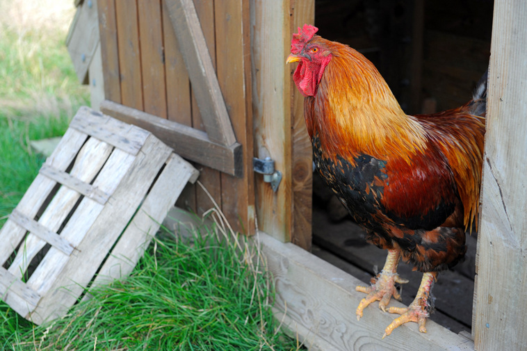 Crédit FRED TANNEAU / AFP Crédit FRED TANNEAU / AFP