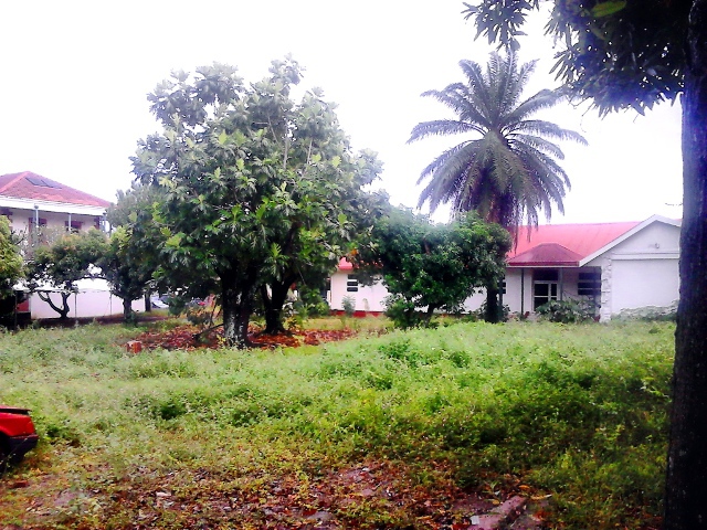 Le terrain affecté à l'Etat "correspond à la parcelle et les constructions qui accueillaient anciennement le dispensaire des Tuamotu-Gambier ainsi qu'une partie des locaux de Vaiami, actuellement inoccupée", indique le ministère des Affaires foncières.