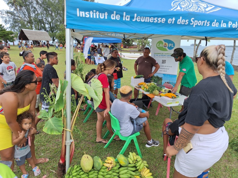 À vocation de sensibilisation ou participatifs, une quinzaine d’ateliers étaient au programme. À vocation de sensibilisation ou participatifs, une quinzaine d’ateliers étaient au programme.