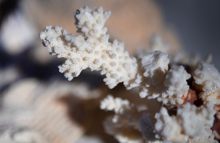 Crédit FRED TANNEAU / AFP Crédit FRED TANNEAU / AFP