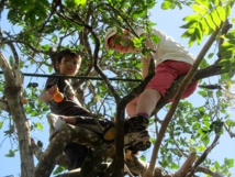 Les oranges à Tahiti : d'une manne providentielle à un fruit plus rare