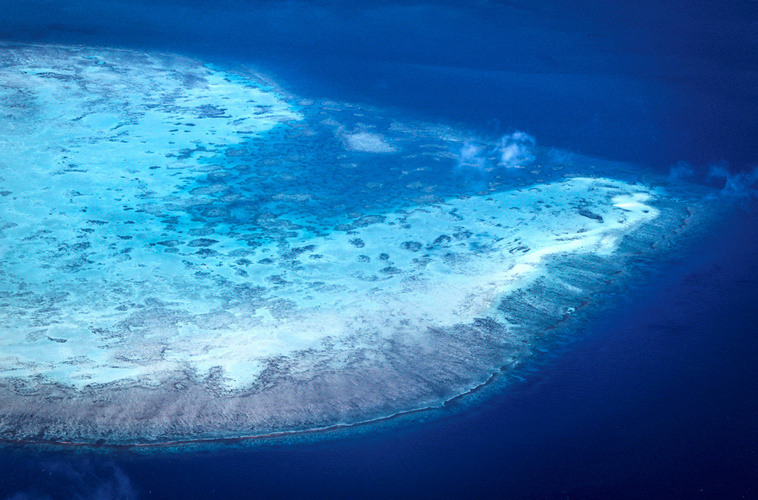 Crédit DAVID GRAY / AFP Crédit DAVID GRAY / AFP