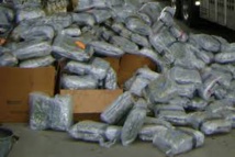 Brésil : la camionnette se renverse et deverse... plus d'une tonne de cannabis Brésil : la camionnette se renverse et deverse... plus d'une tonne de cannabis