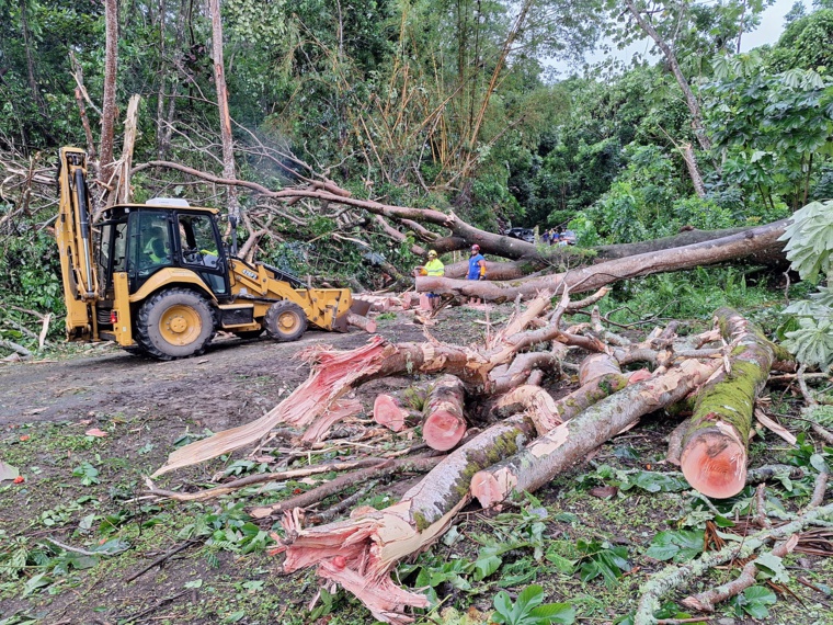 Trois heures d’intervention ont été nécessaires pour rétablir la circulation (Crédit : Anne-Charlotte Lehartel).