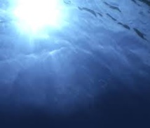 Les Pôles Mer, au service de la croissance bleue depuis dix ans