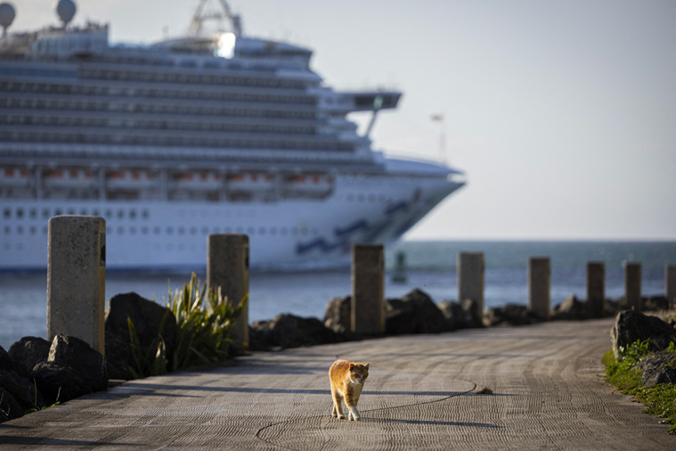 Crédit Ricardo ARDUENGO / AFP Crédit Ricardo ARDUENGO / AFP