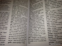Le nouveau tome du dictionnaire français-tahitien bientôt dans les bacs Le nouveau tome du dictionnaire français-tahitien bientôt dans les bacs