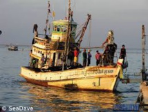Mise au pas des pêcheurs en Thaïlande: 5.000 bateaux immobilisés Mise au pas des pêcheurs en Thaïlande: 5.000 bateaux immobilisés