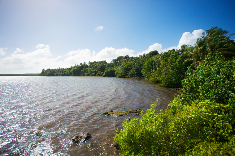 Crédit Cedrick Isham CALVADOS / AFP Crédit Cedrick Isham CALVADOS / AFP