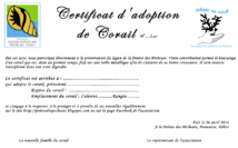 Jardinage dans le lagon de Punaauia Jardinage dans le lagon de Punaauia