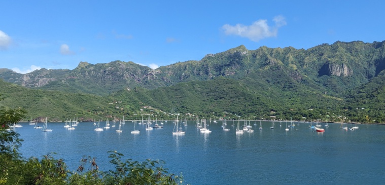 100 plaisanciers découvrent la culture marquisienne 100 plaisanciers découvrent la culture marquisienne