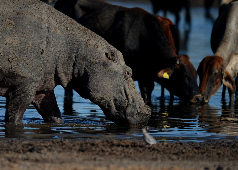 MONIRUL BHUIYAN / AFP MONIRUL BHUIYAN / AFP