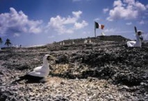 Clipperton, au coeur du Pacifique, un laboratoire à ciel ouvert