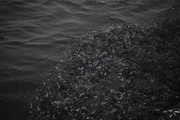 Crédit Ernesto BENAVIDES / AFP Crédit Ernesto BENAVIDES / AFP