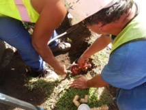 Mahina : Installation des compteurs d'eau dans la vallée Ahonu ce lundi Mahina : Installation des compteurs d'eau dans la vallée Ahonu ce lundi