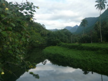 La Vaiiha est le quatrième plus grand bassin versant de Tahiti