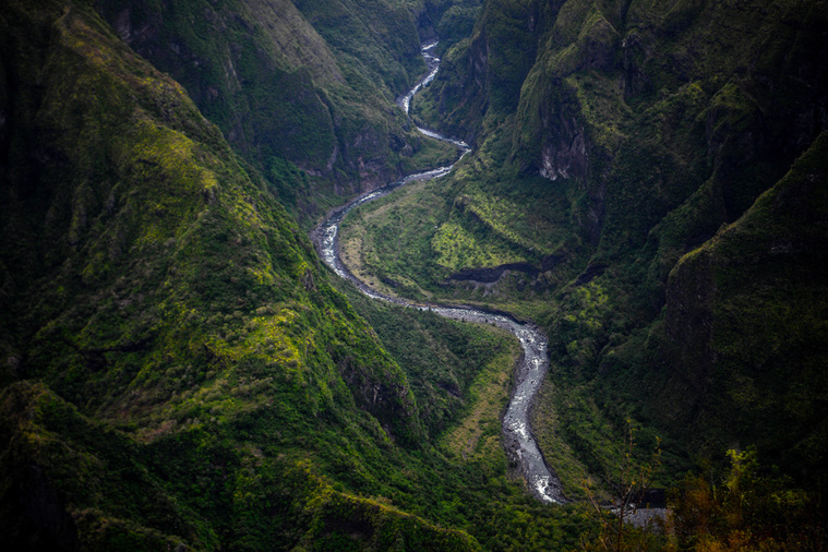 Christophe ARCHAMBAULT / AFP Christophe ARCHAMBAULT / AFP