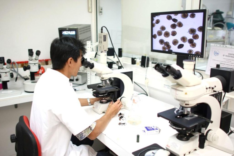 Crédit : Grégory Boissy - ILM Crédit : Grégory Boissy - ILM