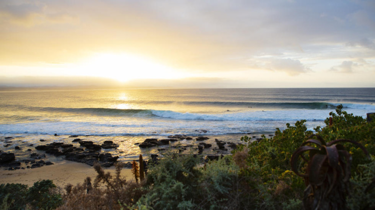 Surf Pro – Championnat du monde : Michel Bourez démarre J-Bay en force.