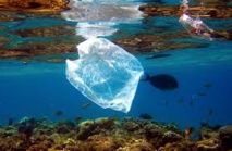 Comores: zéro sac plastique à partir de 2016 dans la capitale Comores: zéro sac plastique à partir de 2016 dans la capitale