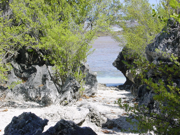 A la découverte des flots tumultueux de Tikehau avec Tahiti Heritage A la découverte des flots tumultueux de Tikehau avec Tahiti Heritage
