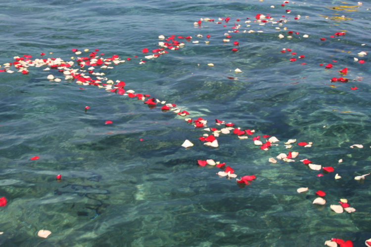 Tahiti rend hommage au navigateur disparu Laurent Bourgnon Tahiti rend hommage au navigateur disparu Laurent Bourgnon