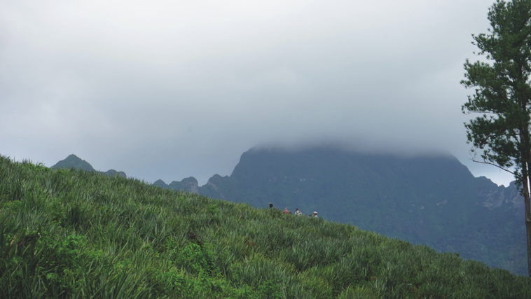 Chefs Studio sur les hauteurs de Moorea Chefs Studio sur les hauteurs de Moorea