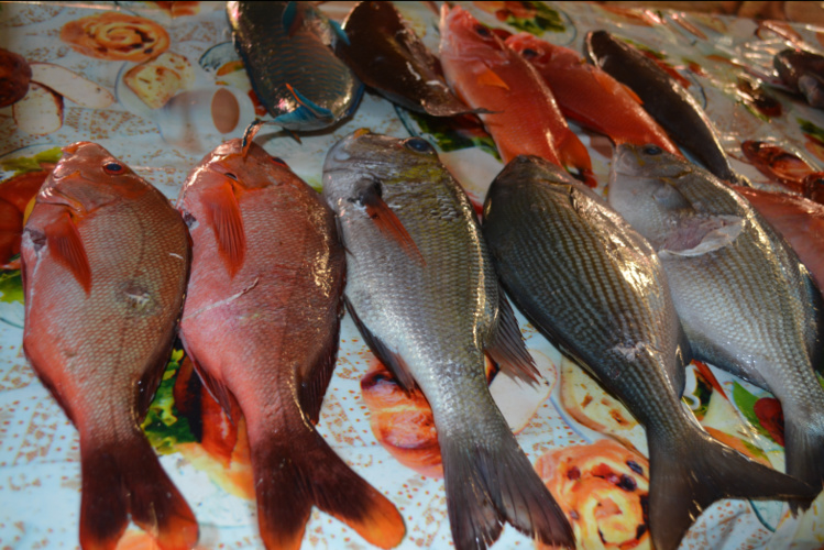 Mémorial Léon NANAI et 2ième et 3ième manche du championnat de Polynésie de pêche sous marine 2015 Mémorial Léon NANAI et 2ième et 3ième manche du championnat de Polynésie de pêche sous marine 2015