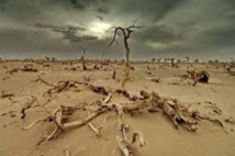 Paris accueille mardi un "Sommet des consciences pour le climat" Paris accueille mardi un "Sommet des consciences pour le climat"