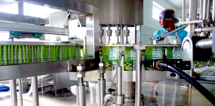 Teipora noni s'attaque au marché américain