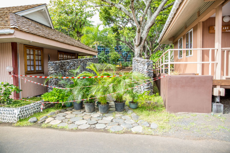 Gros jardinage à l'Assemblée, pendant l'intersession Gros jardinage à l'Assemblée, pendant l'intersession