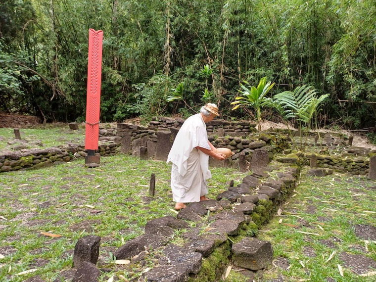Retrait des unu dans la vallée de la Papenoo Retrait des unu dans la vallée de la Papenoo