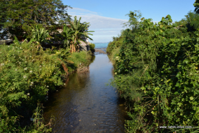 Sur toute la partie en aval de la rivière et jusqu'à son embouchure, le projet d'aménagement prévoit de canaliser par un ouvrage en béton le lit de la Tiapa.
