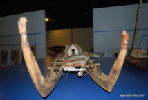 Voyage en pirogue traditionnelle : au fil des étoiles et des oiseaux