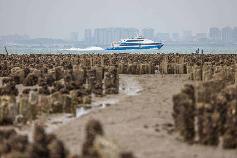 Crédit I-Hwa CHENG / AFP Crédit I-Hwa CHENG / AFP