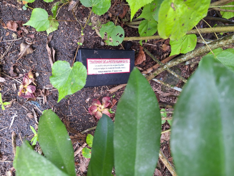 Plusieurs boîtes de traitement ont été cachées le long du chemin qui mène à la pointe et au domaine Rose. Plusieurs boîtes de traitement ont été cachées le long du chemin qui mène à la pointe et au domaine Rose.