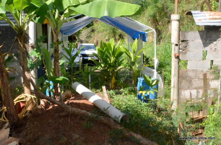 La nouvelle servitude ouverte pour les Lee La nouvelle servitude ouverte pour les Lee